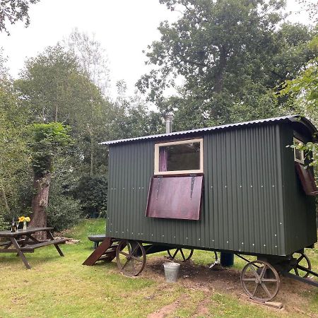The Shepherd'S Hut - Wild Escapes Wrenbury Off Grid Glamping - Ages 12 And Over Baddiley Kültér fotó