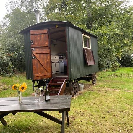 The Shepherd'S Hut - Wild Escapes Wrenbury Off Grid Glamping - Ages 12 And Over Baddiley Kültér fotó