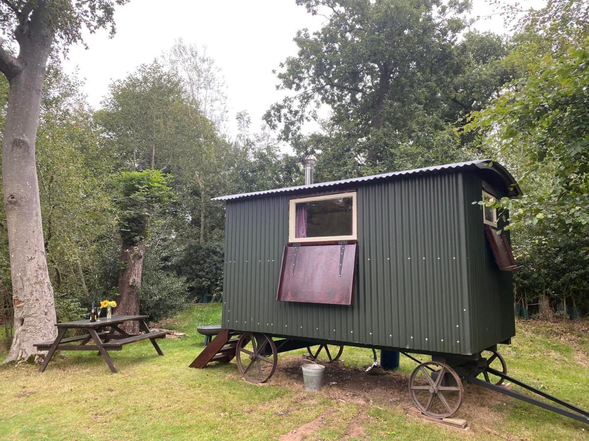The Shepherd'S Hut - Wild Escapes Wrenbury Off Grid Glamping - Ages 12 And Over Baddiley Kültér fotó
