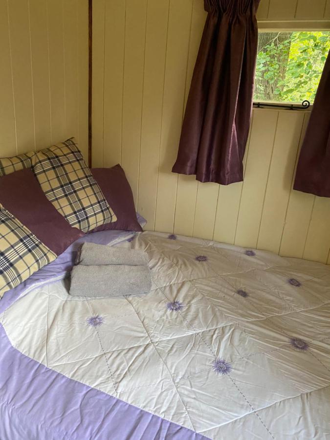 The Shepherd'S Hut - Wild Escapes Wrenbury Off Grid Glamping - Ages 12 And Over Baddiley Kültér fotó